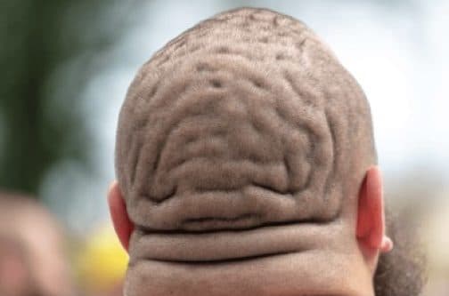Fat guy with fat head is my history teacher.